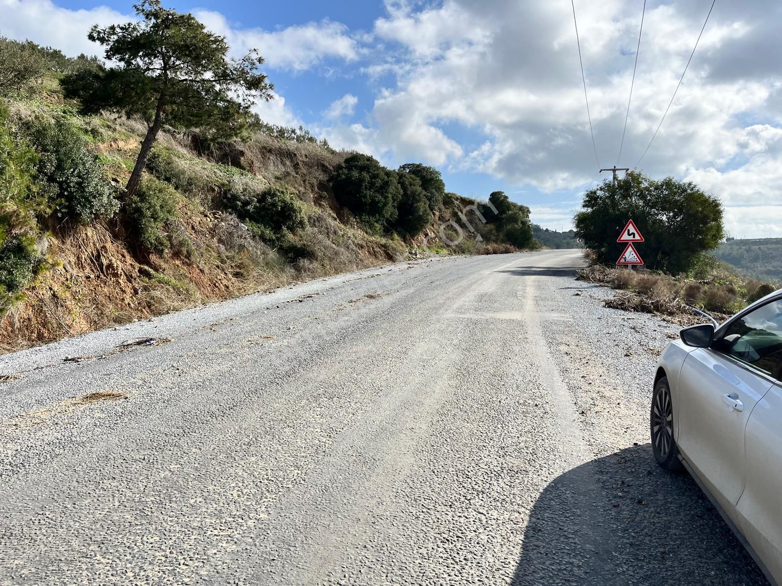 Yaylaköy'de 14 Dönüm Satılık Zeytinlik - Görsel 8