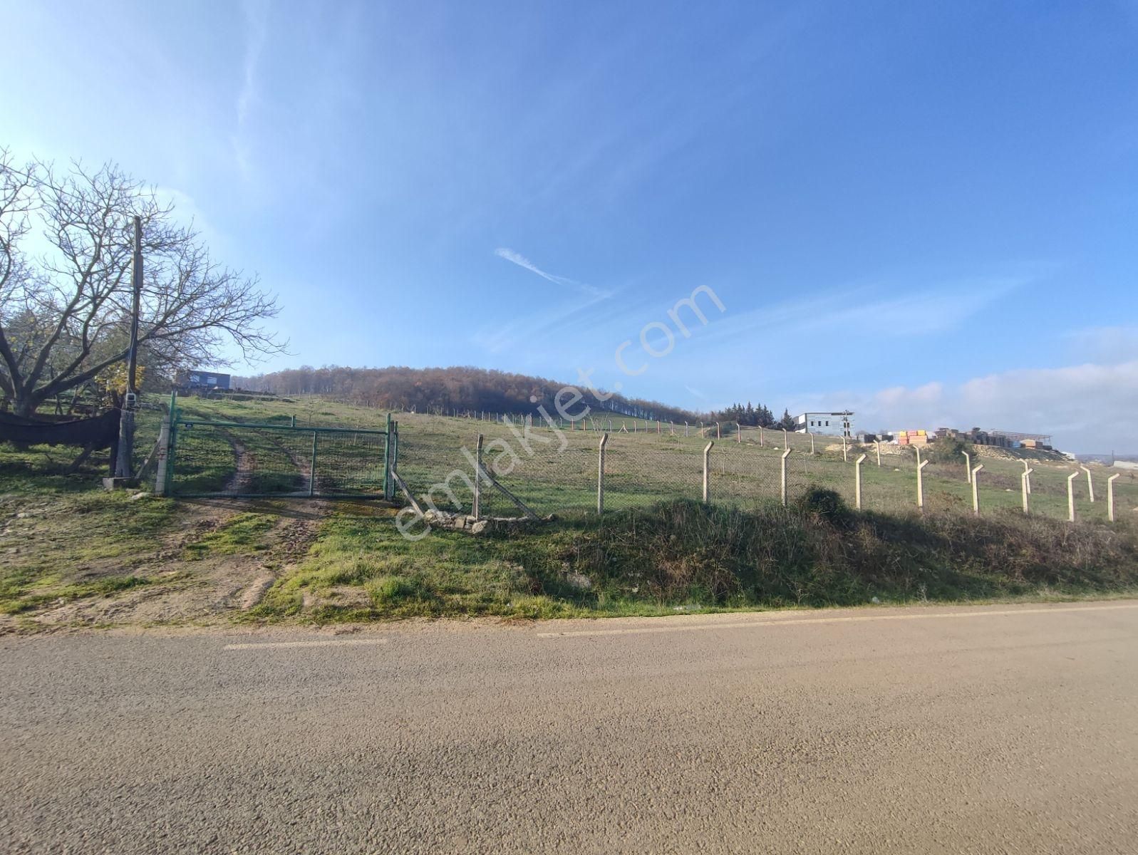 Tarcanlar'dan Körfez Kalburcu Mah. 4.900 M² Ve %5 İmarlı Tarla - Görsel 10