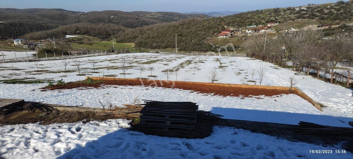 Tarcanlar'dan Körfez Kalburcu Mah. 4.900 M² Ve %5 İmarlı Tarla - Görsel 5