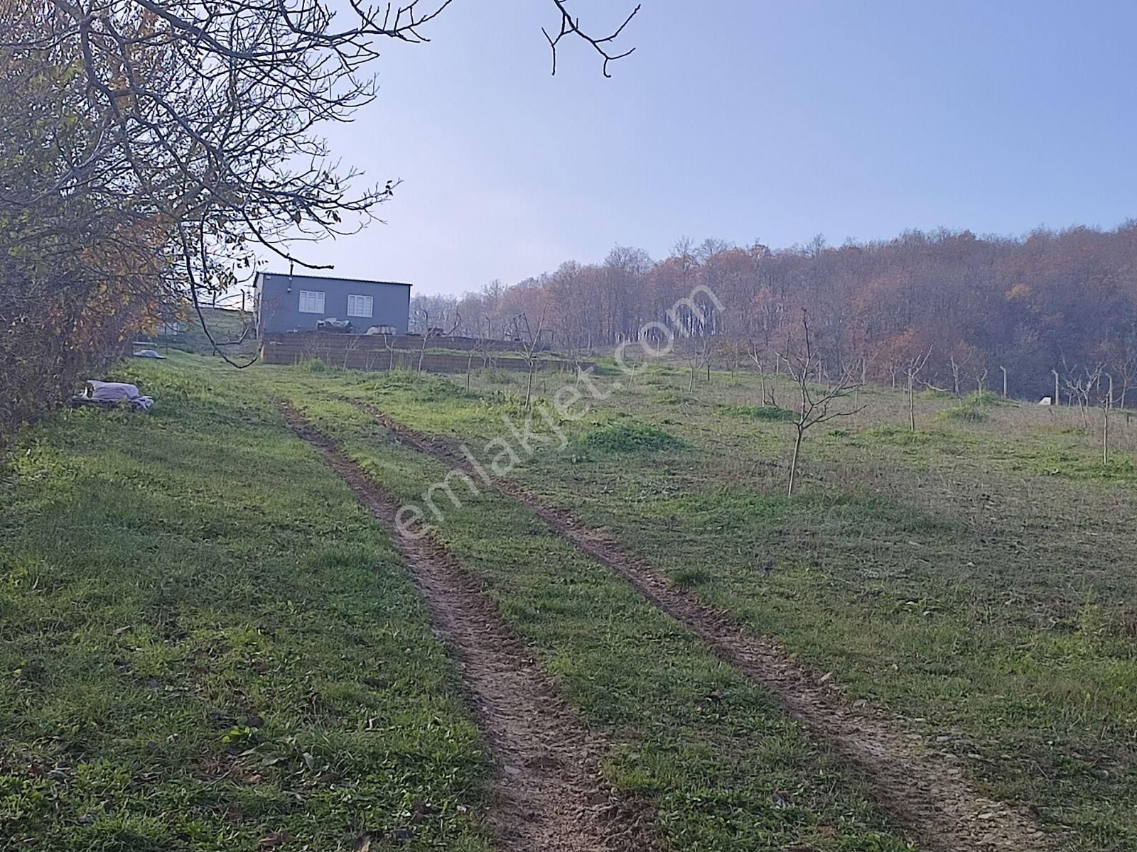 Tarcanlar'dan Körfez Kalburcu Mah. 4.900 M² Ve %5 İmarlı Tarla - Görsel 22