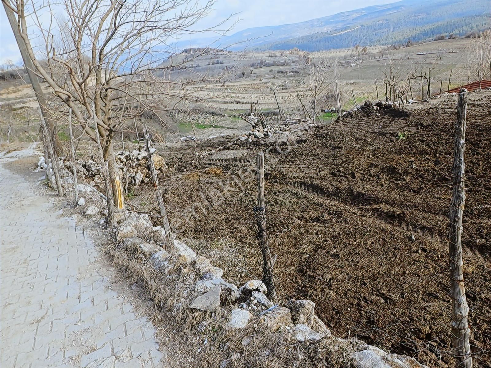 Bursa Orhaneli Fadıl'da Köyiçi İmarlı Fırsat Arazi!!! - Görsel 4