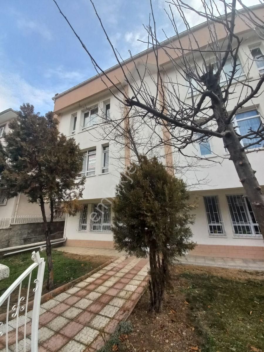 Kanaat'ten Fehmi Tacer,de Bağımsız Arakat