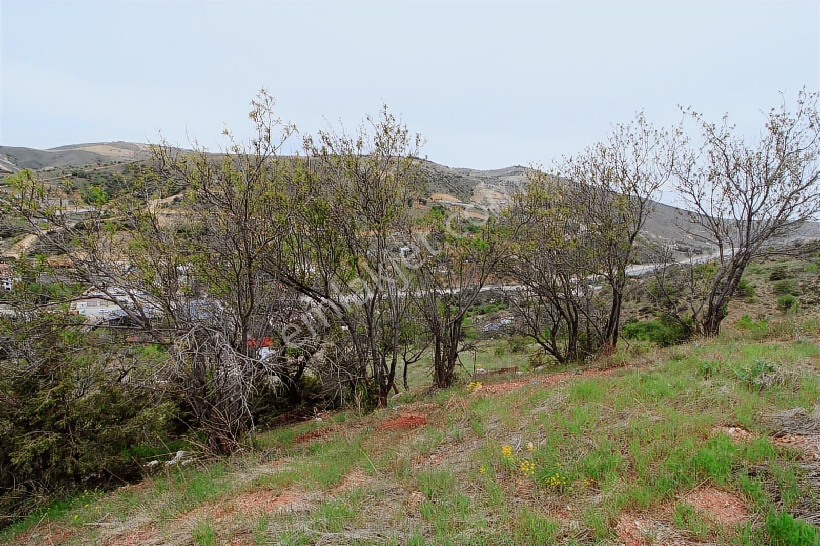 Han'dan Bağlarda Tek Tapu 2 Villalık Manzaralı Satılık Arsa - Görsel 12