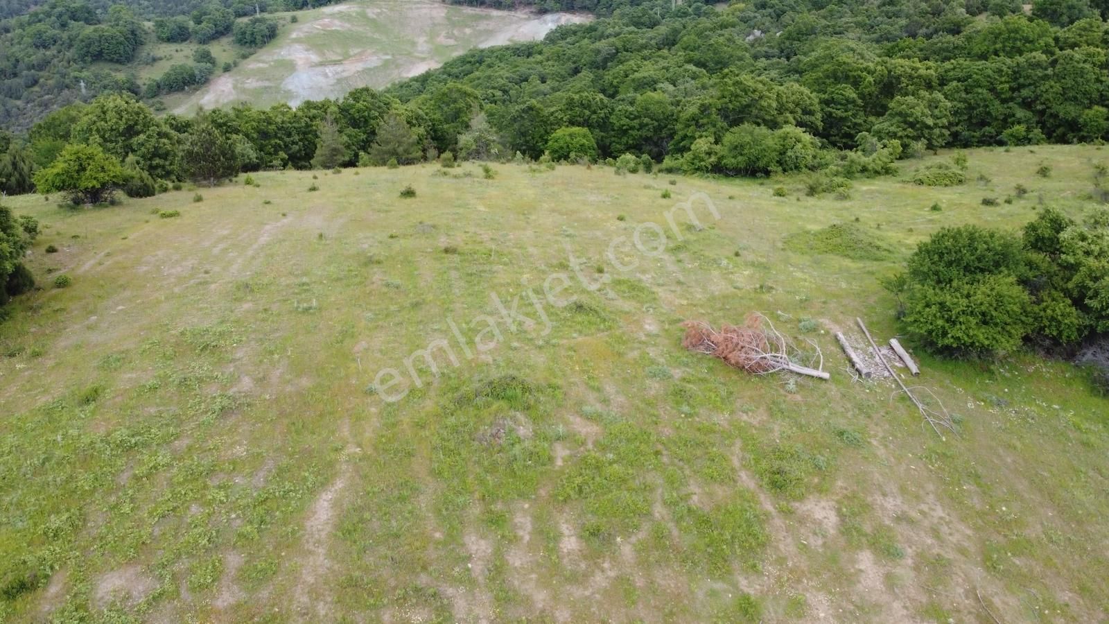Ges Hazır 26.140 M² Arazi, Marjinal Rapor Enerji Yatırım Bölgesi - Görsel 17
