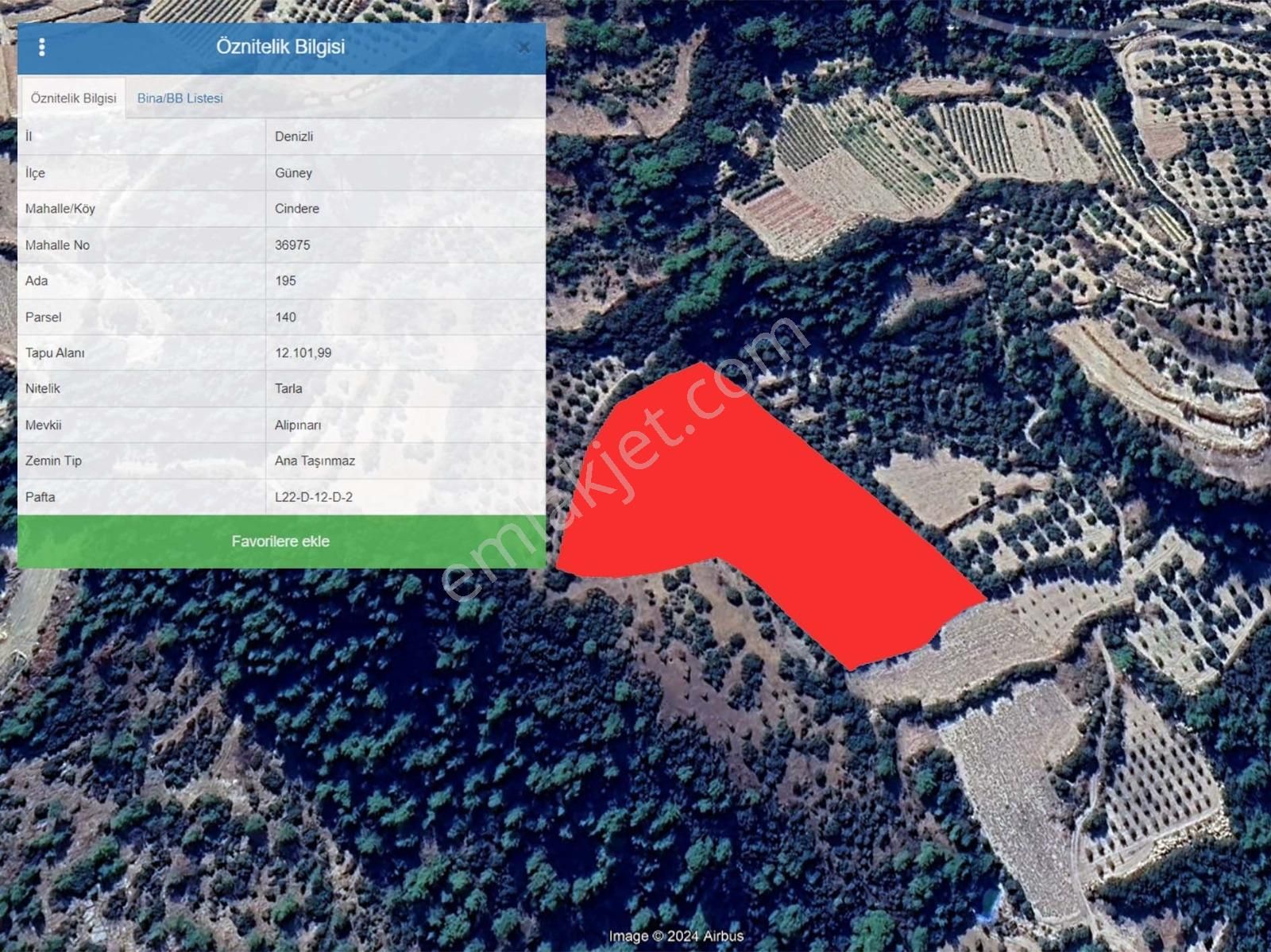 Denizli Güney Cindere'de Yatırımlık Fırsat Zeytinlik!!! - Görsel 10