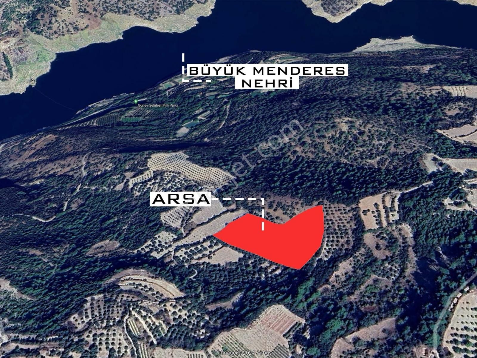 Denizli Güney Cindere'de Yatırımlık Fırsat Zeytinlik!!! - Görsel 14