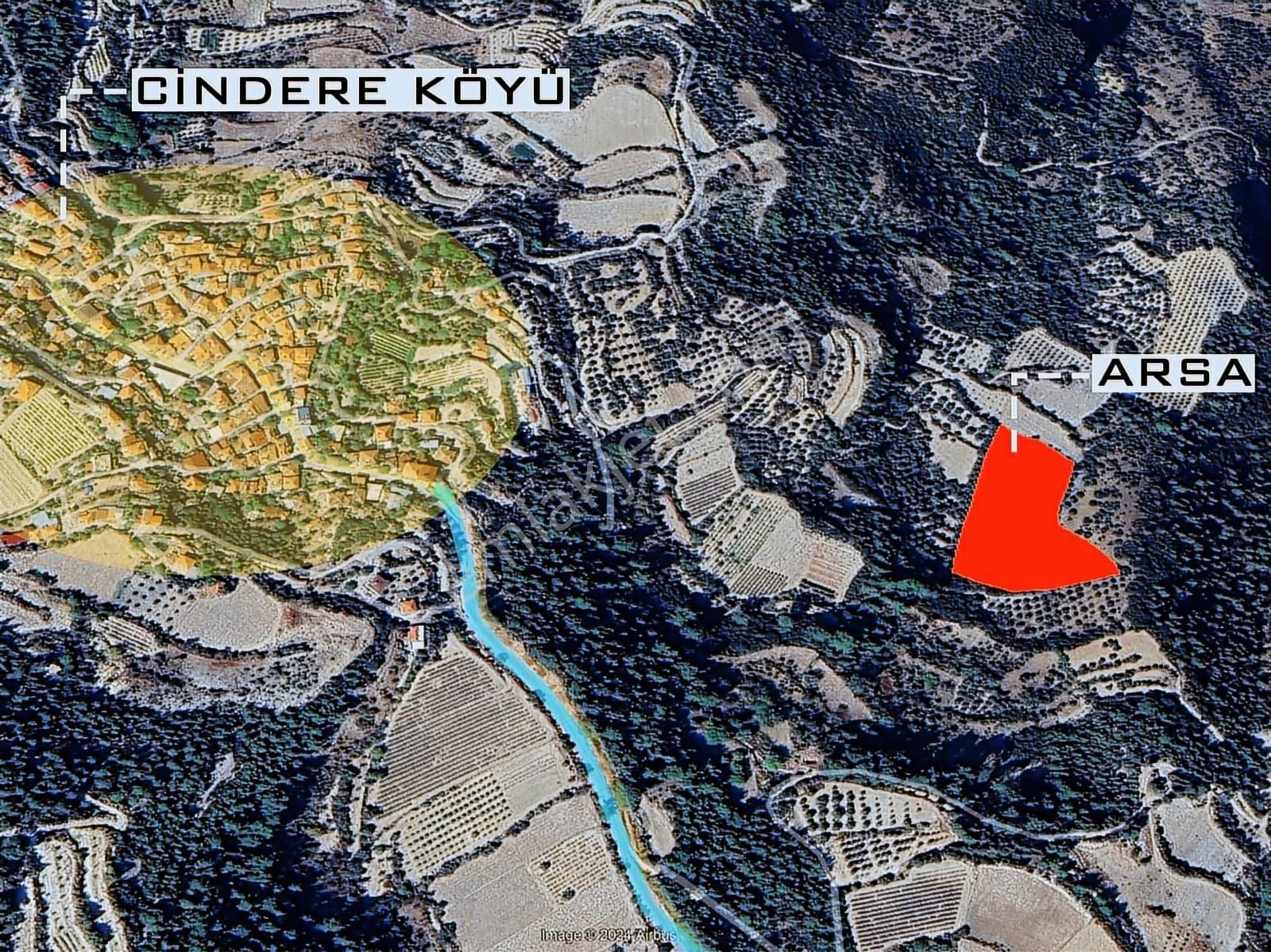 Denizli Güney Cindere'de Yatırımlık Fırsat Zeytinlik!!! - Görsel 6