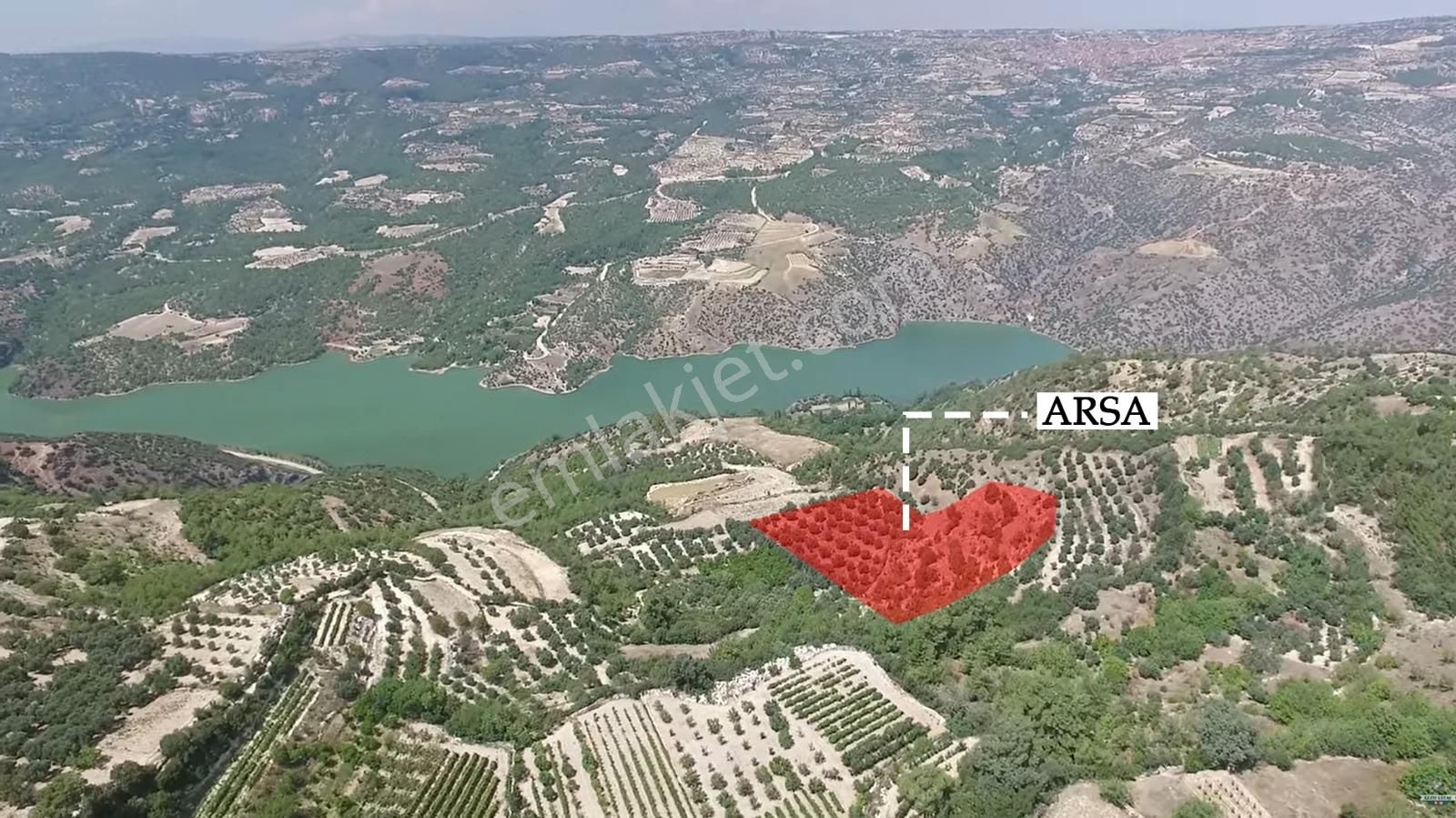 Denizli Güney Cindere'de Yatırımlık Fırsat Zeytinlik!!! - Görsel 11