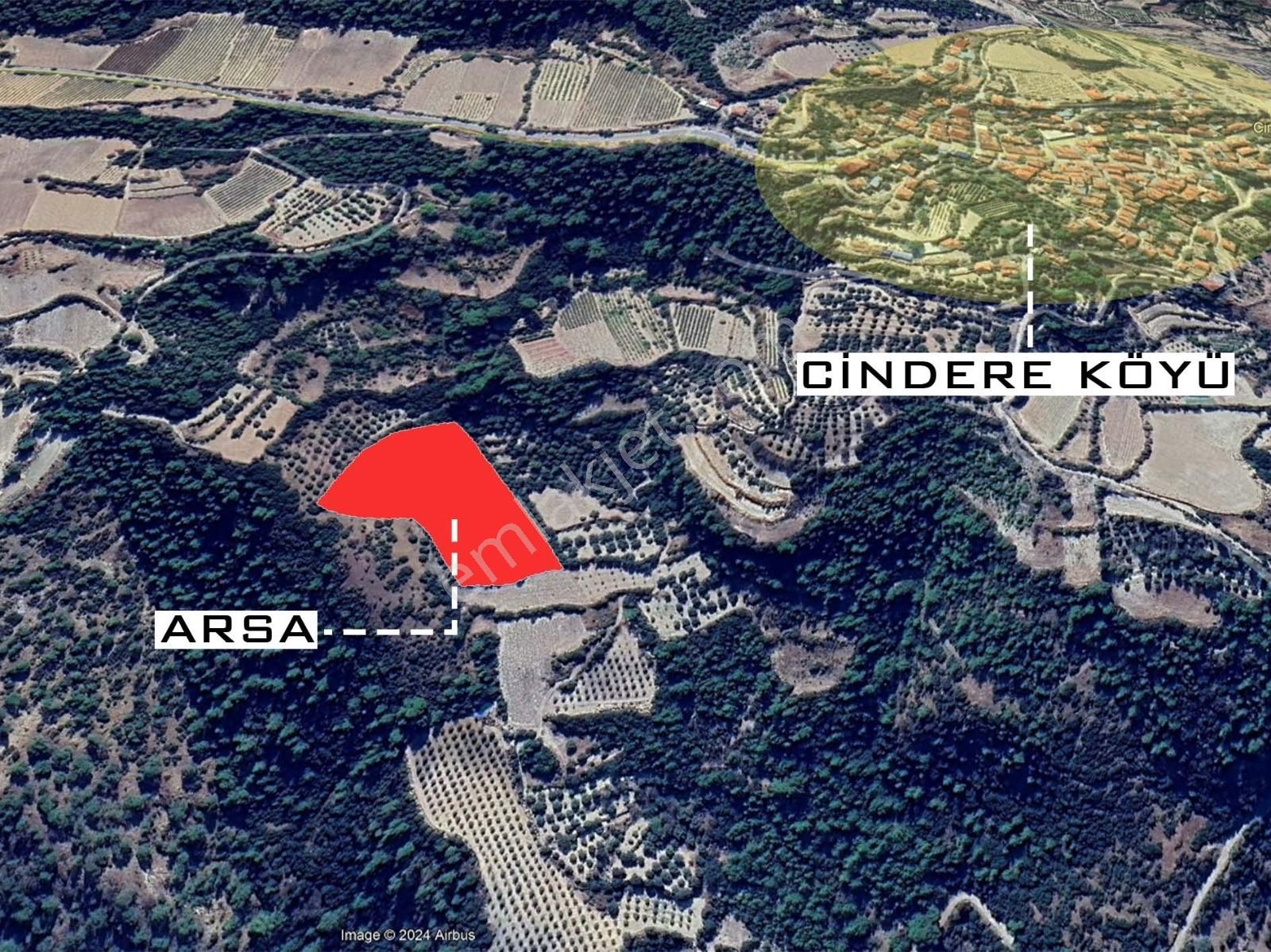 Denizli Güney Cindere'de Yatırımlık Fırsat Zeytinlik!!! - Görsel 8