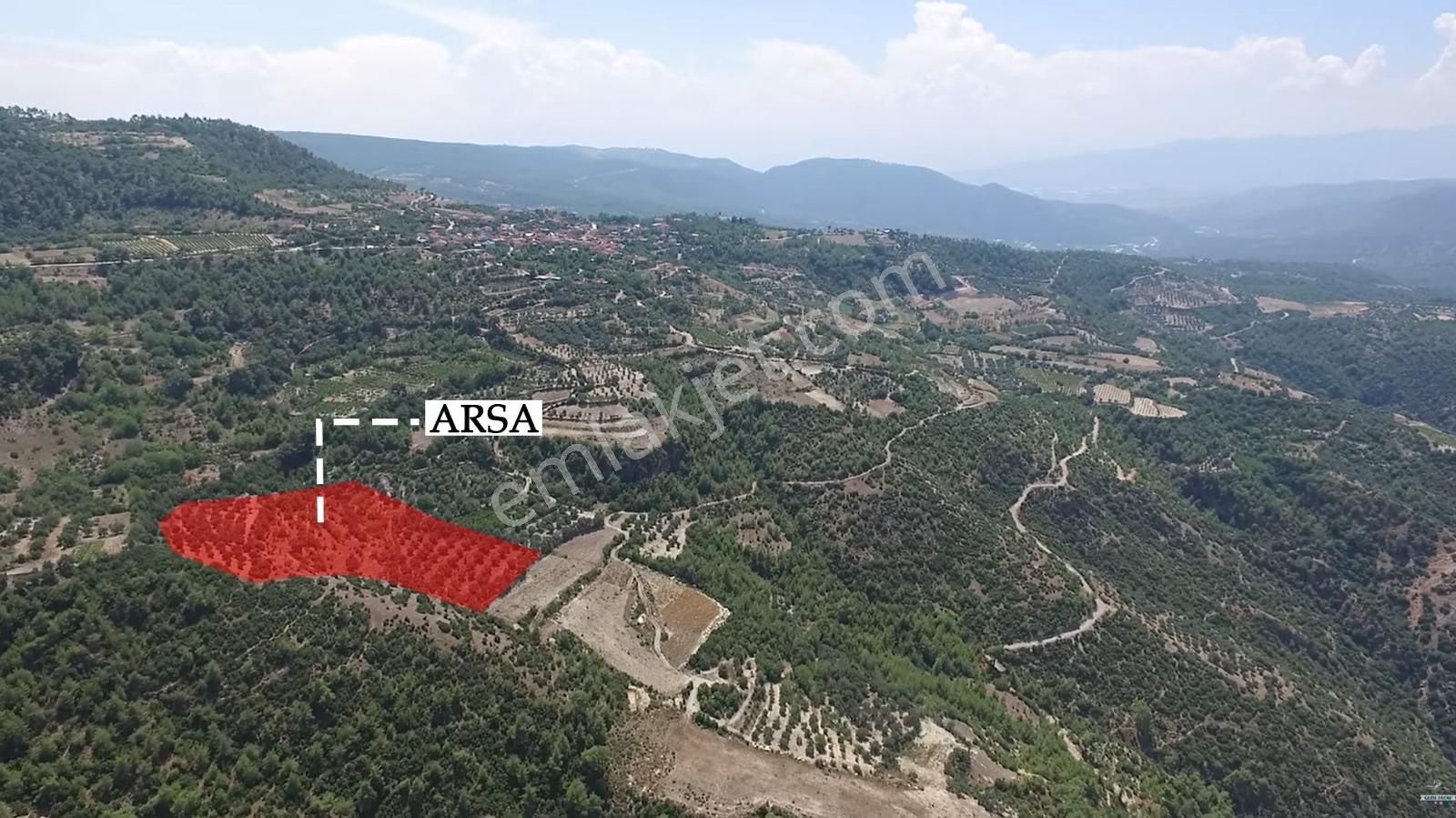 Denizli Güney Cindere'de Yatırımlık Fırsat Zeytinlik!!! - Görsel 21