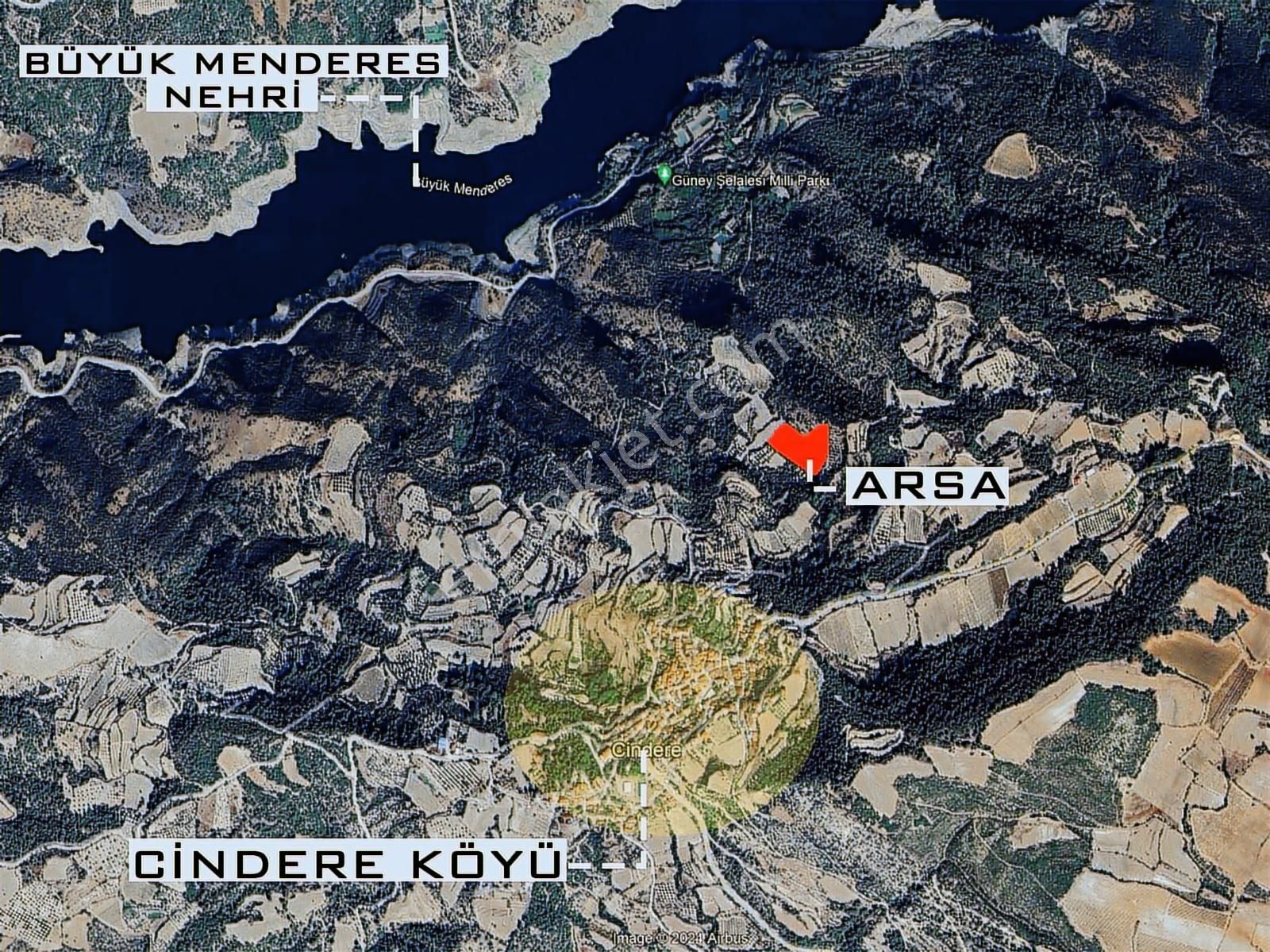 Denizli Güney Cindere'de Yatırımlık Fırsat Zeytinlik!!! - Görsel 7