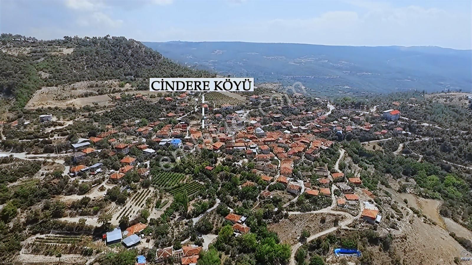 Denizli Güney Cindere'de Yatırımlık Fırsat Zeytinlik!!! - Görsel 19