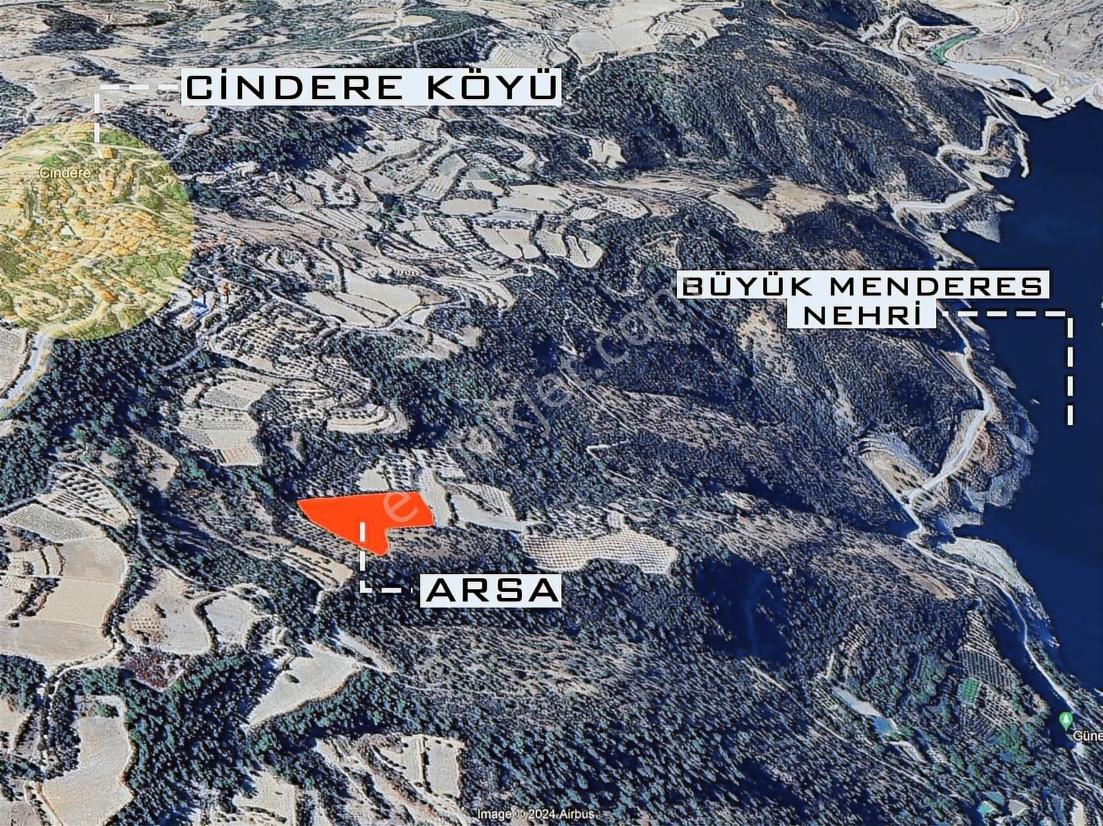 Denizli Güney Cindere'de Yatırımlık Fırsat Zeytinlik!!! - Görsel 13