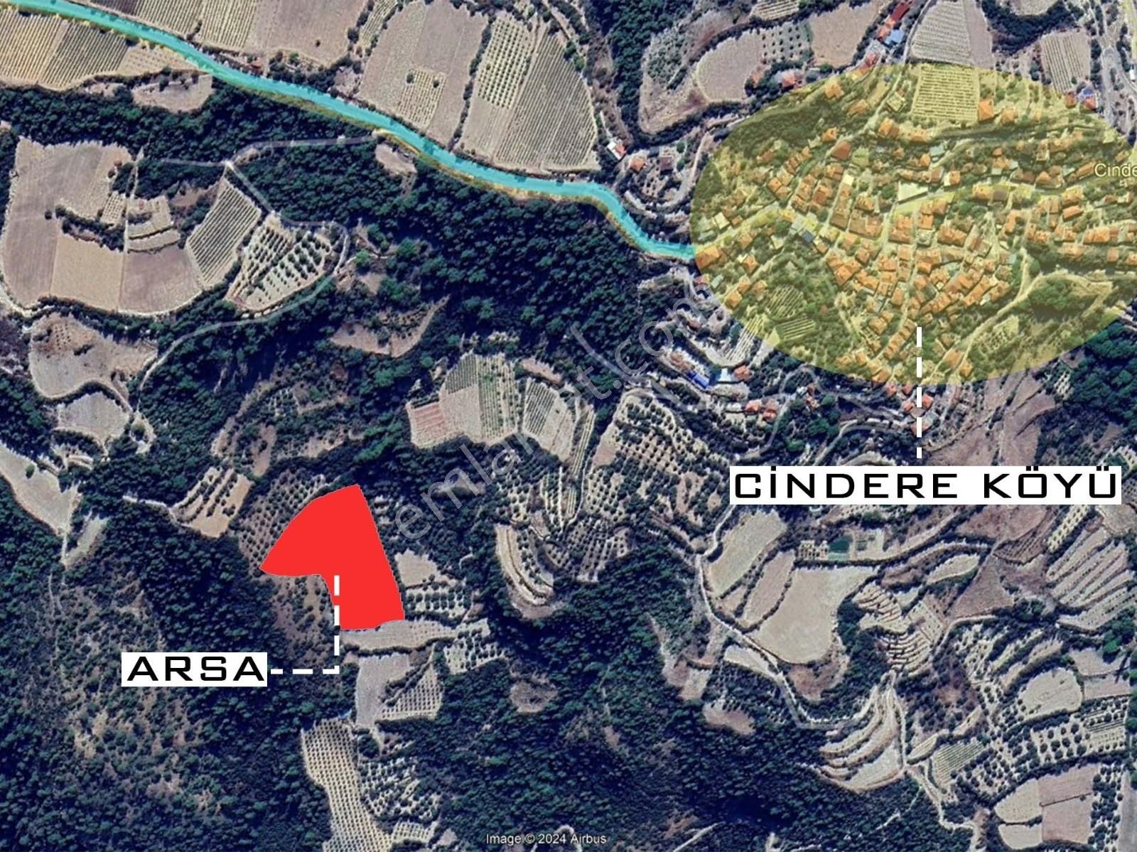 Denizli Güney Cindere'de Yatırımlık Fırsat Zeytinlik!!! - Görsel 5