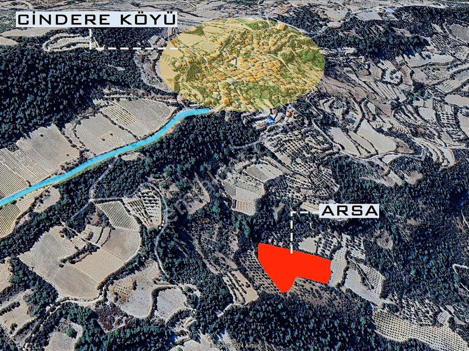 Denizli Güney Cindere'de Yatırımlık Fırsat Zeytinlik!!! - Görsel 3