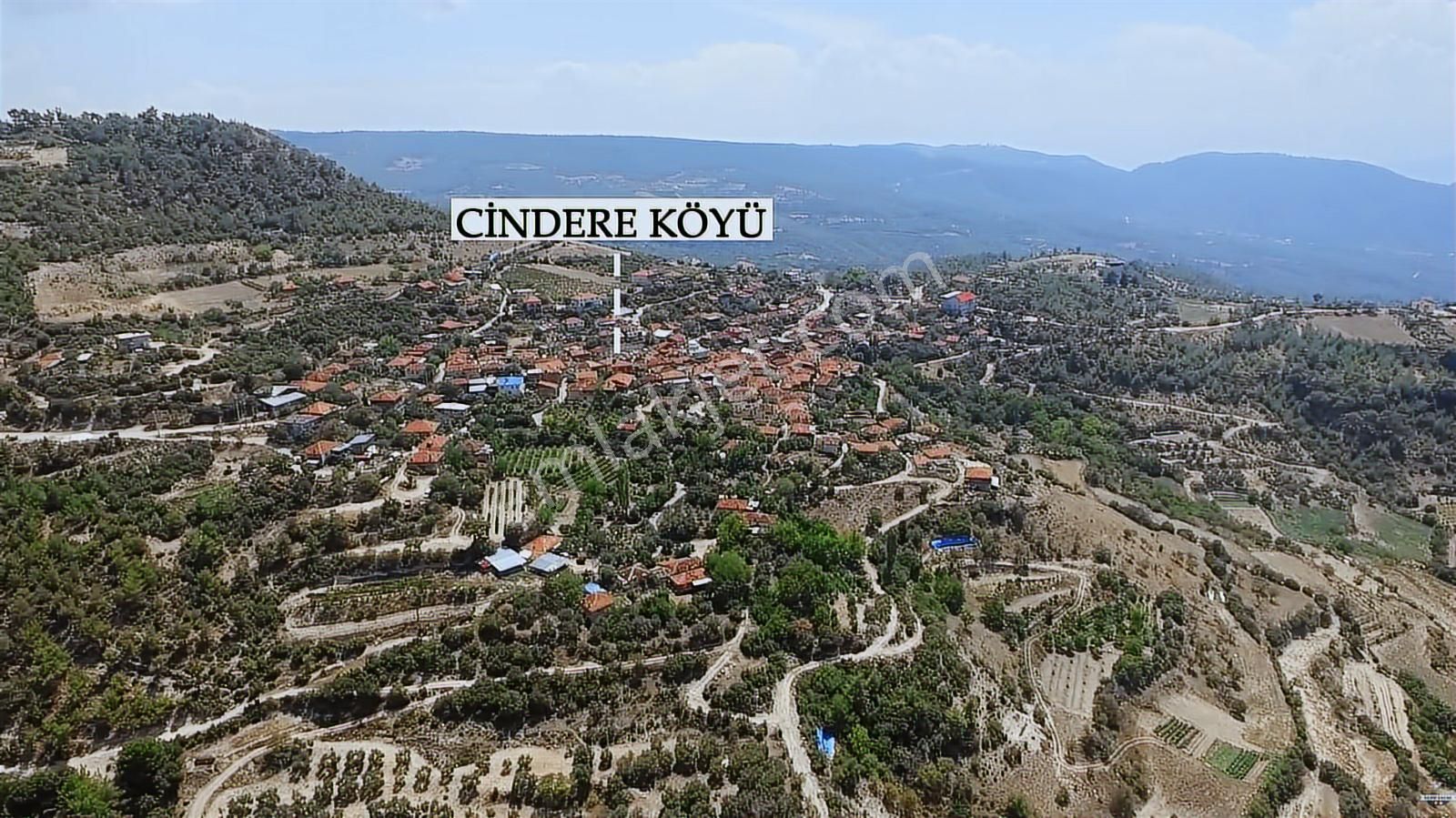 Denizli Güney Cindere'de Yatırımlık Fırsat Zeytinlik!!! - Görsel 18