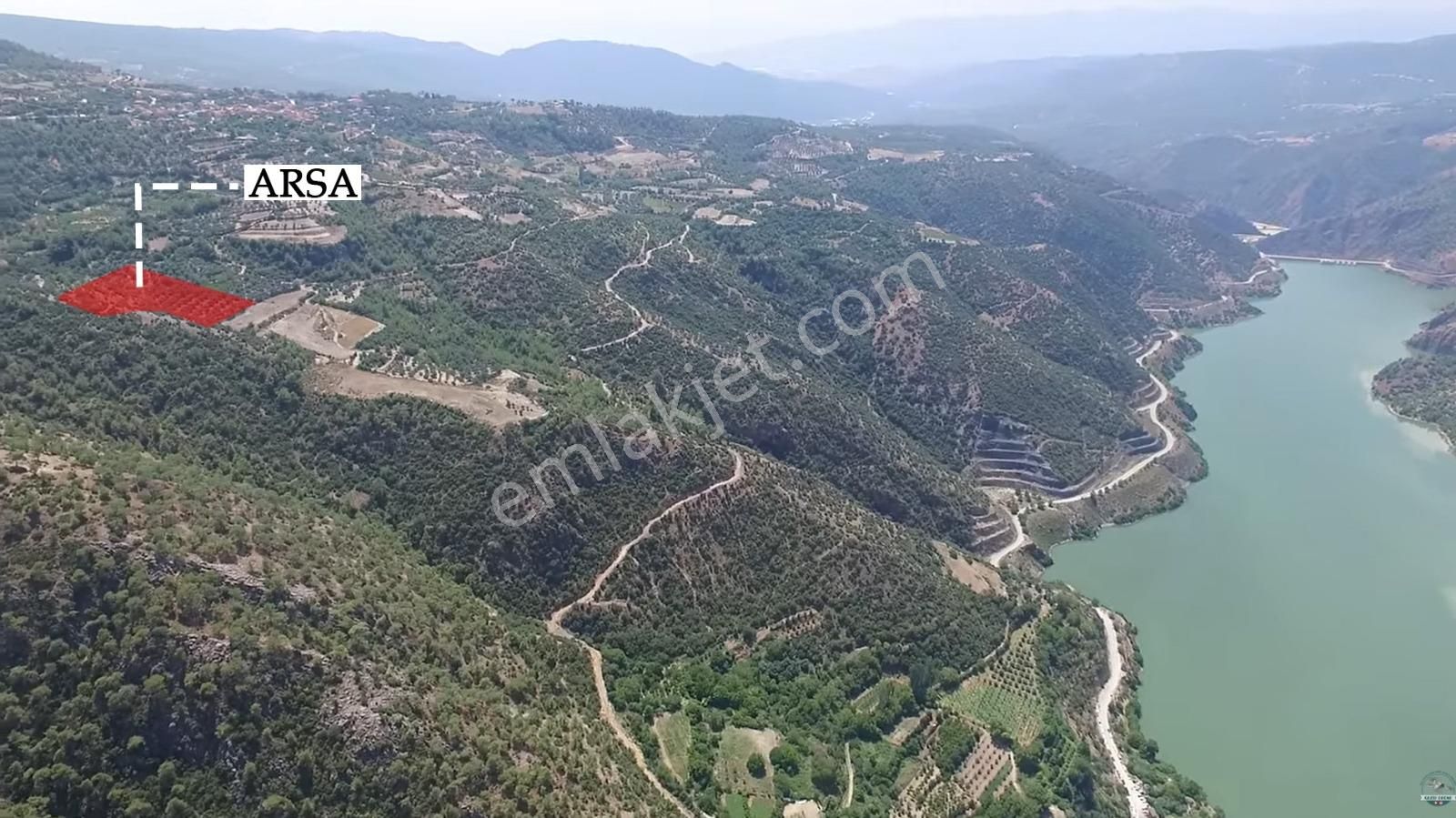 Denizli Güney Cindere'de Yatırımlık Fırsat Zeytinlik!!! - Görsel 17