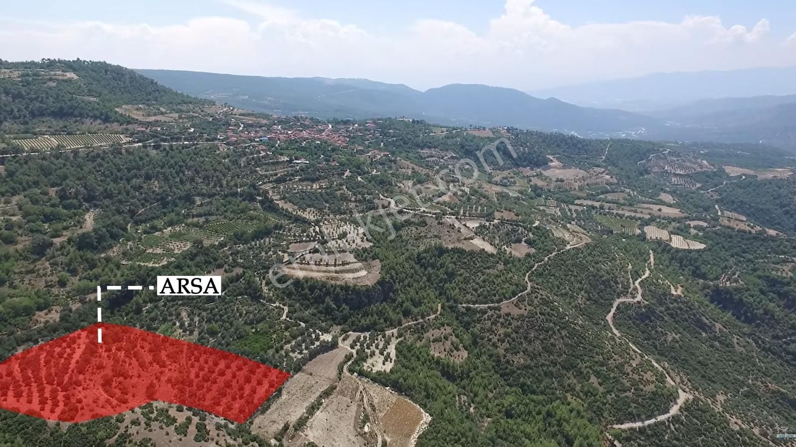 Denizli Güney Cindere'de Yatırımlık Fırsat Zeytinlik!!! - Görsel 2