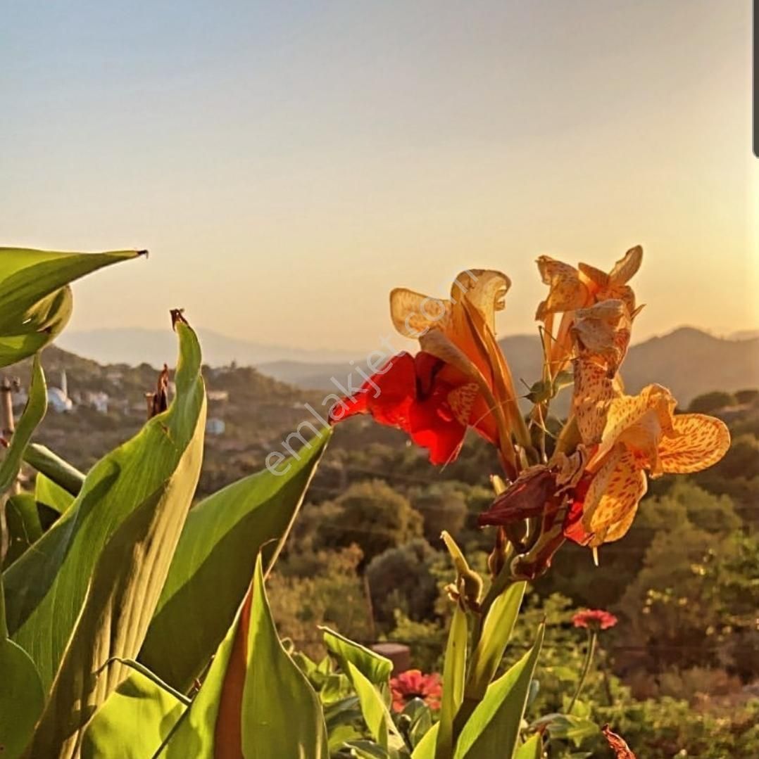 Marvera 'dan Marmaris Söğüt Köyünde Kiralık Eşyalı 1+1 Daireler - Görsel 24