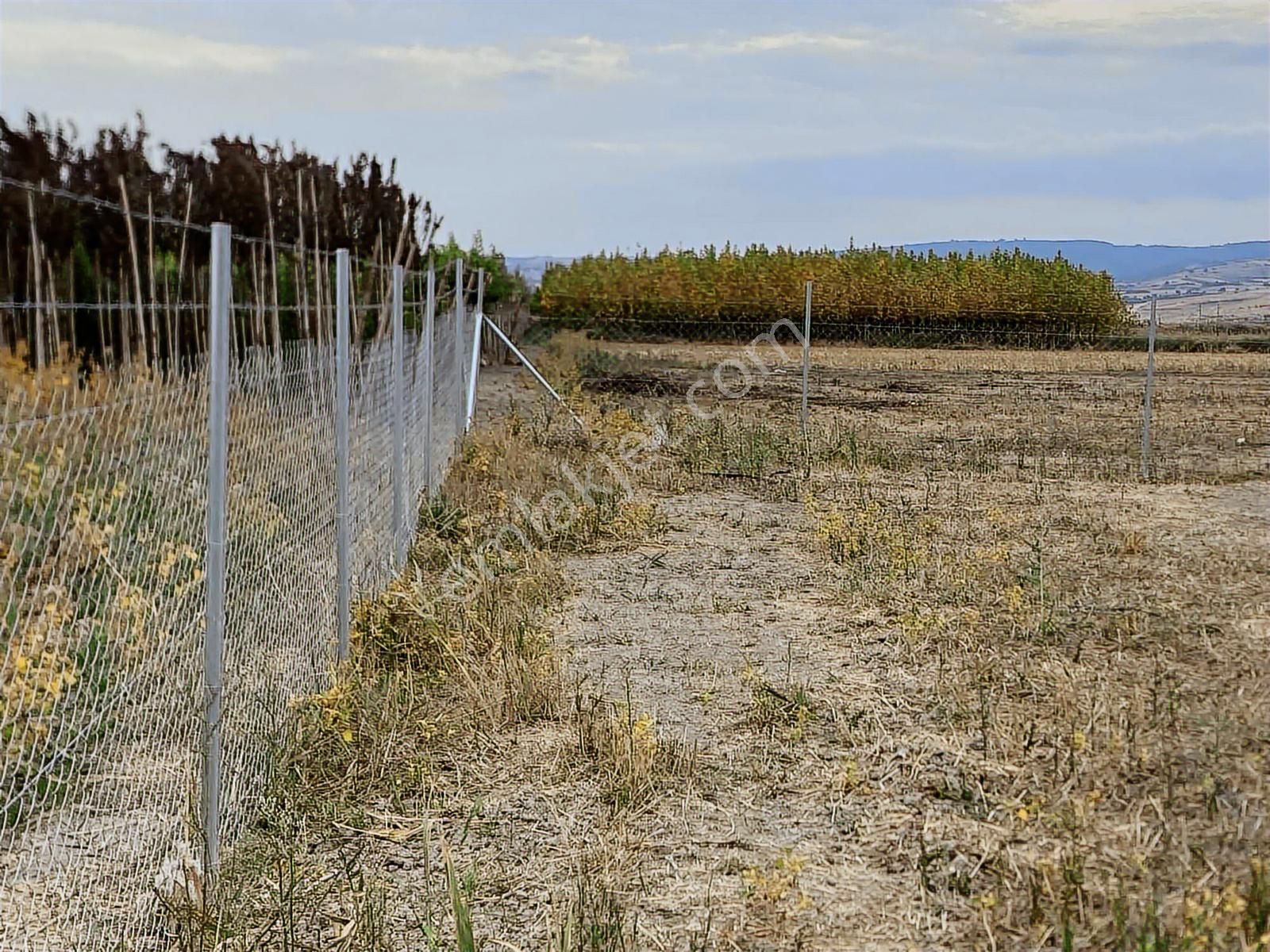 En Güzelinden Satılık 233 M2 Tarla - Görsel 12