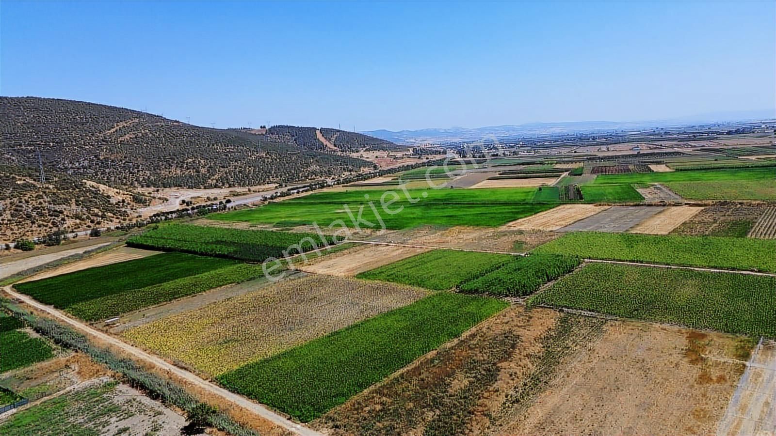 En Güzelinden Satılık 233 M2 Tarla - Görsel 2