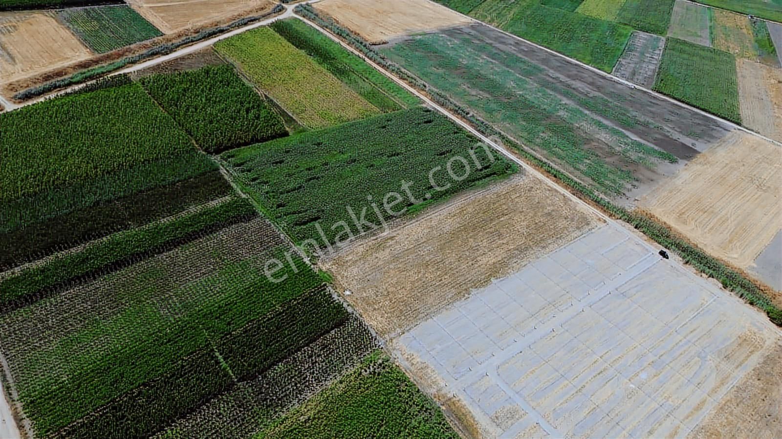 En Güzelinden Satılık 233 M2 Tarla - Görsel 13