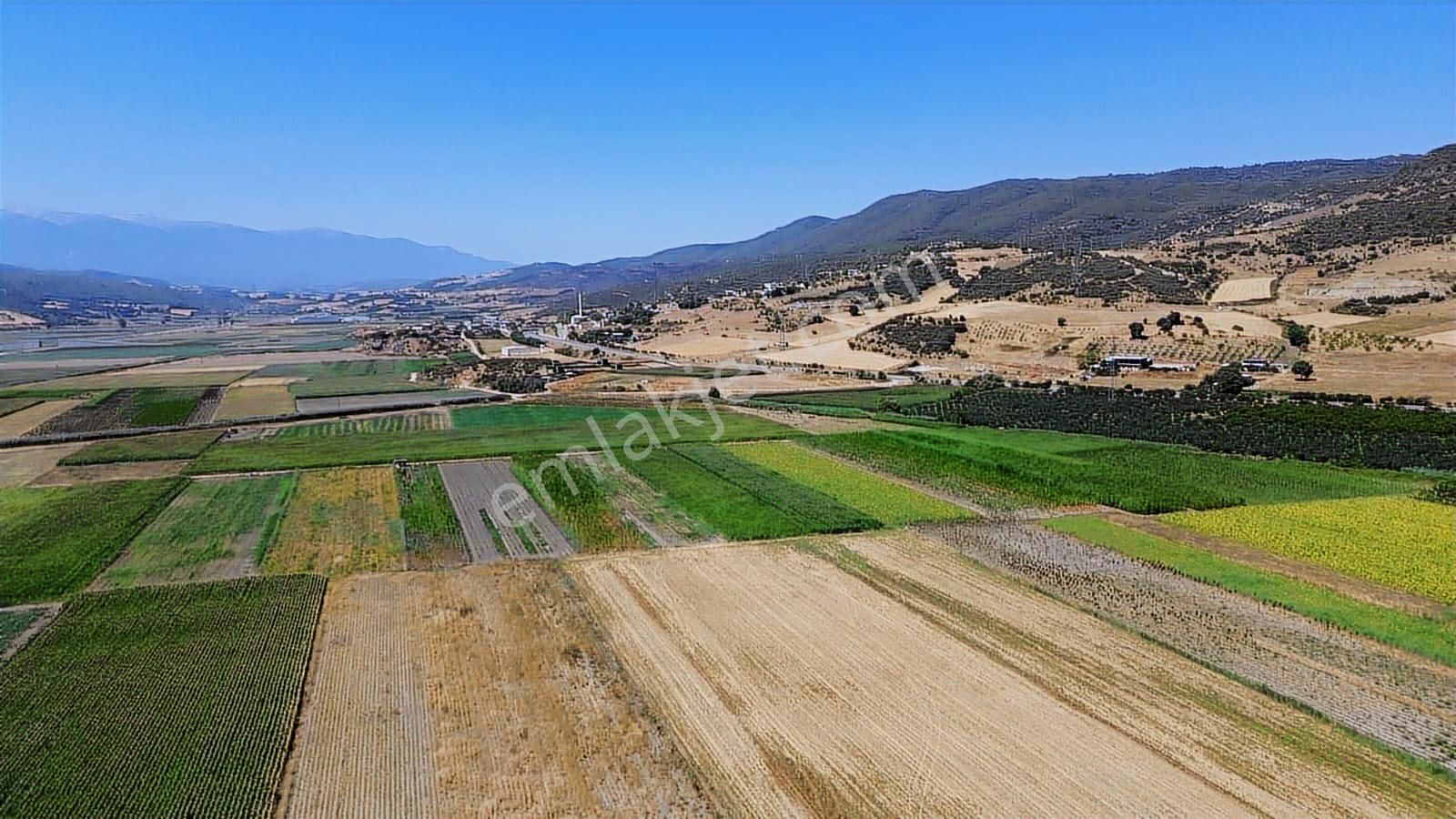 En Güzelinden Satılık 233 M2 Tarla - Görsel 6