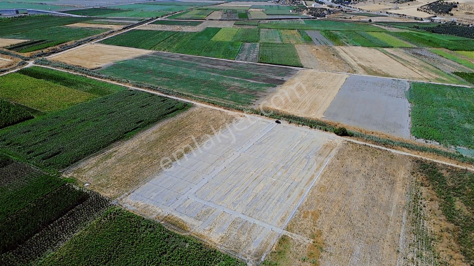 En Güzelinden Satılık 233 M2 Tarla - Görsel 4