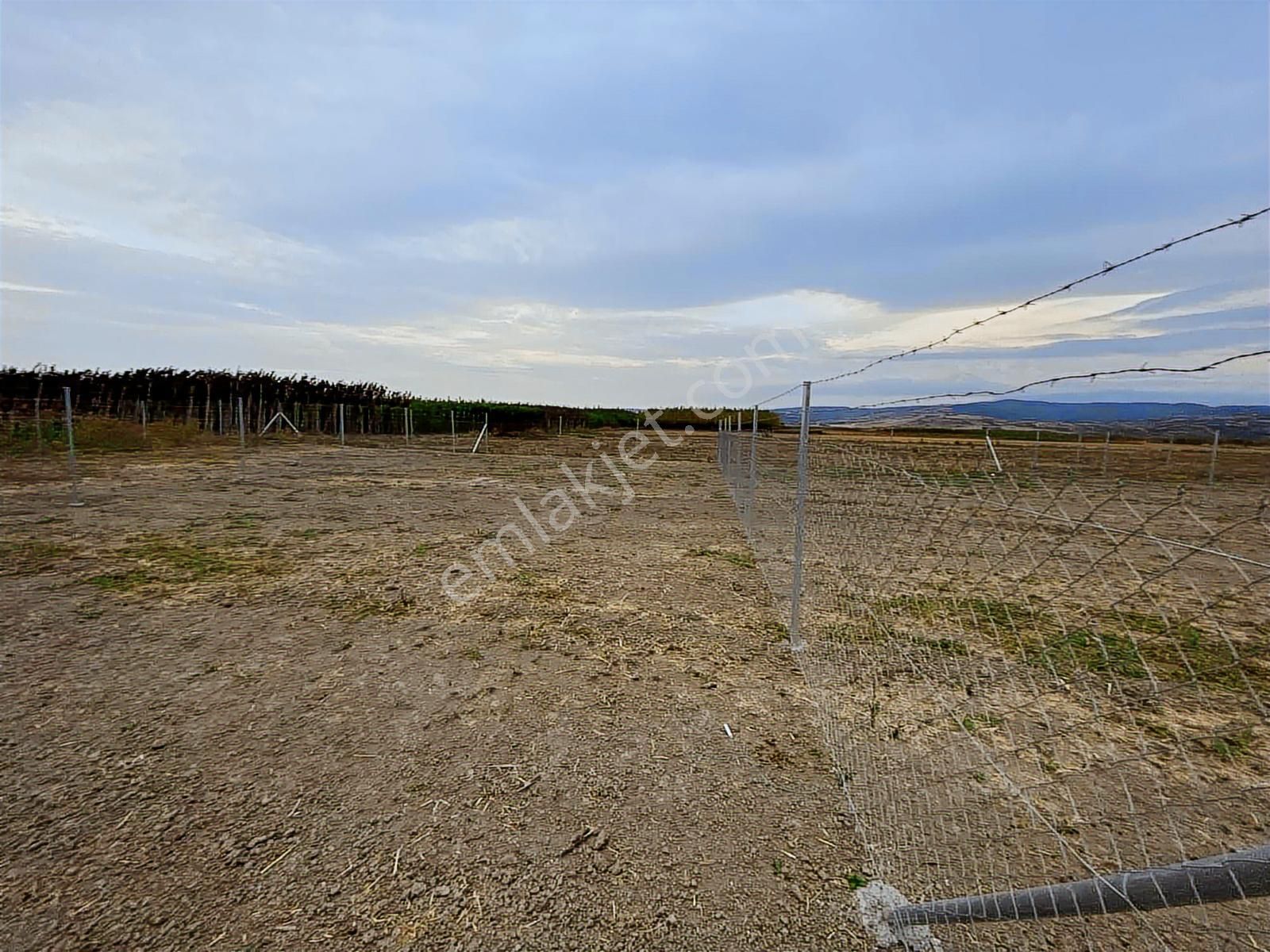 En Güzelinden Satılık 233 M2 Tarla - Görsel 25