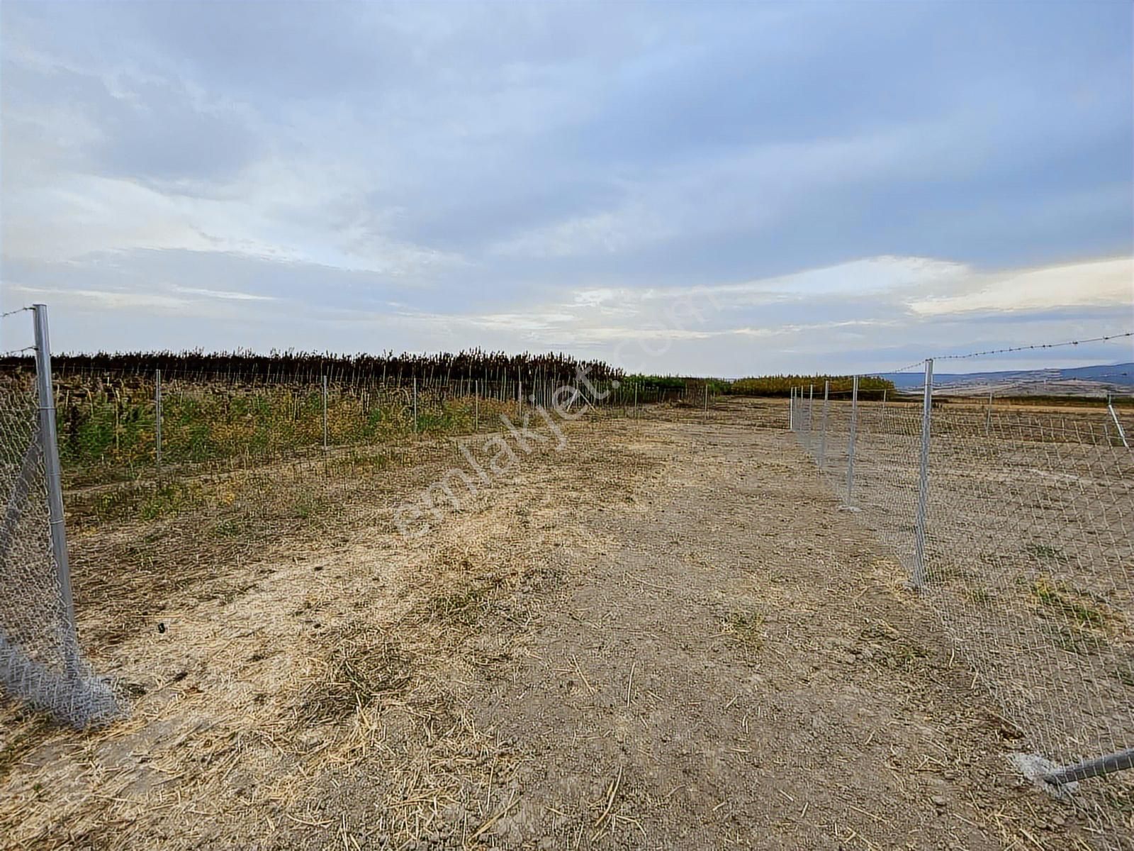 En Güzelinden Satılık 233 M2 Tarla - Görsel 28