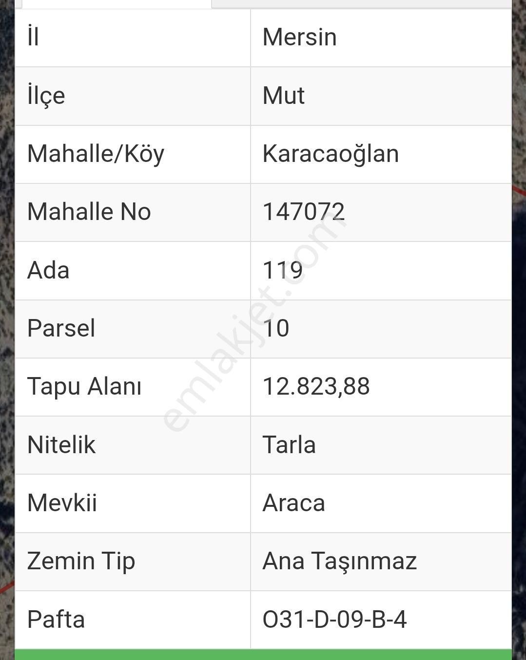 Mut Karacaoğlan Mahallesinde Satılık Zeytin Bahçesi