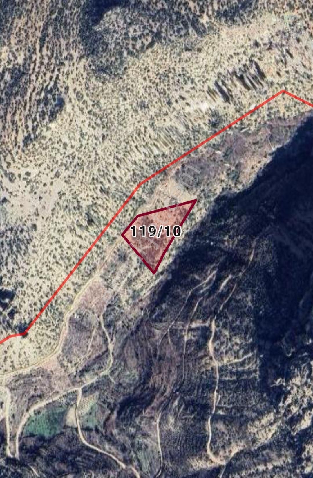 Mut Karacaoğlan Mahallesinde Satılık Zeytin Bahçesi - Görsel 2