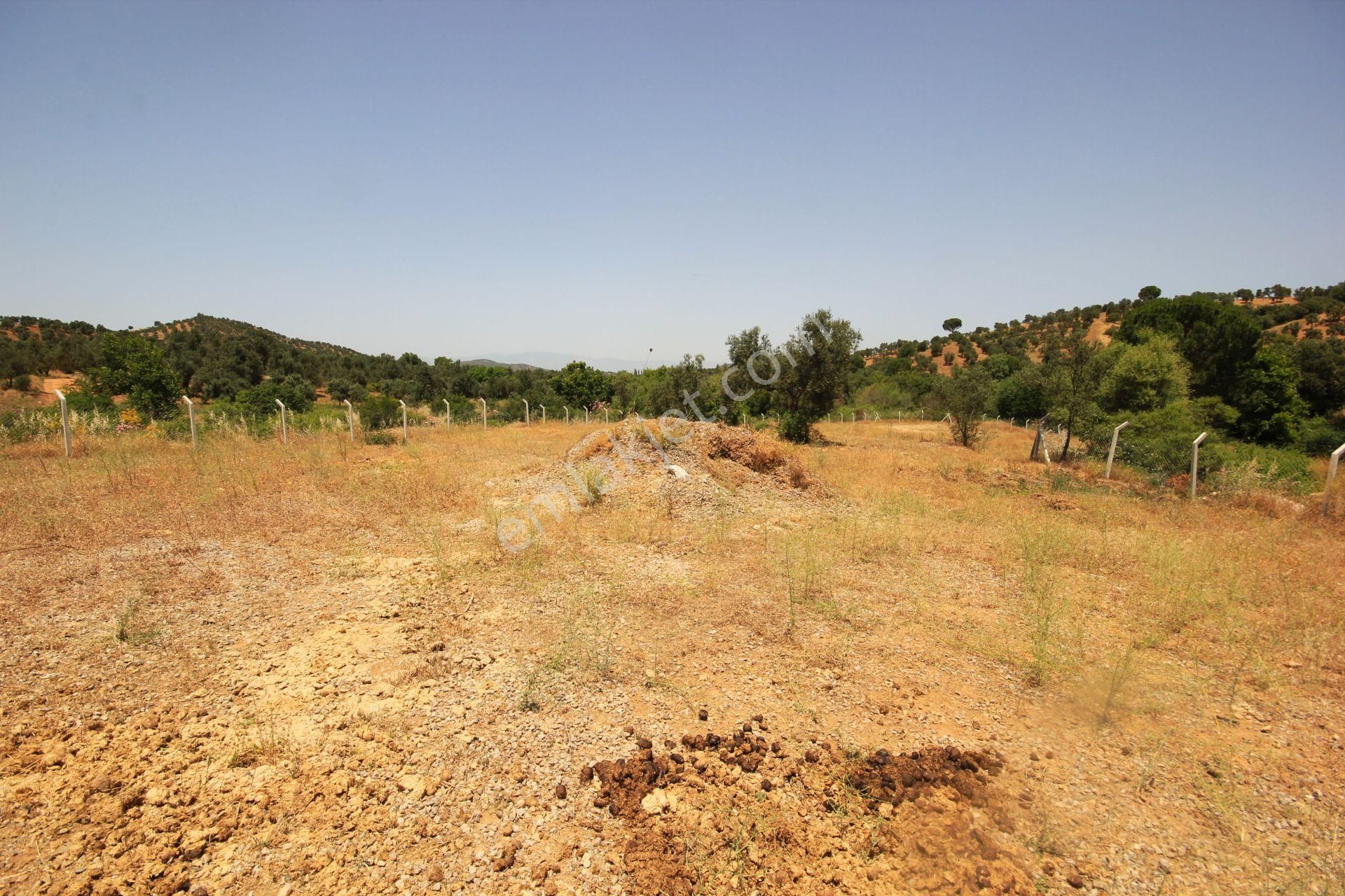 🔴 Aktif'ten Kuyumcu Köyünde Tel İle Çevrili Satılık 3.100 M2 Tarla🔴 - Görsel 7