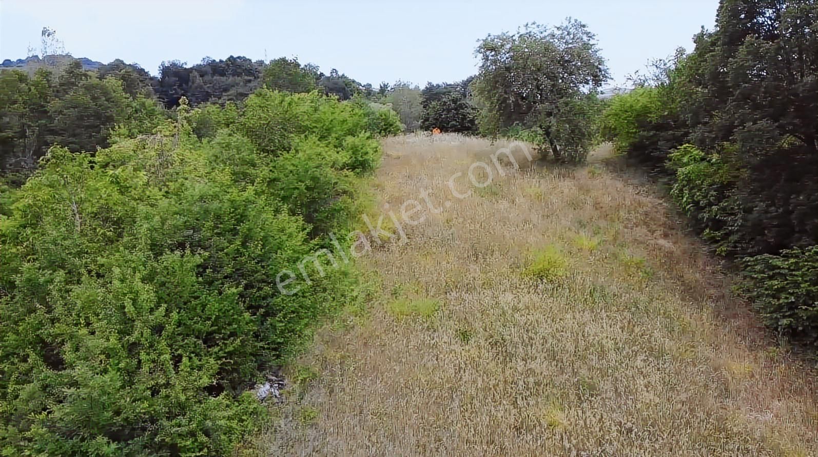 Bursa Orhangazi Mahmudiyede Kaçırılmayacak 2.287,53 M² Arsa - Görsel 6
