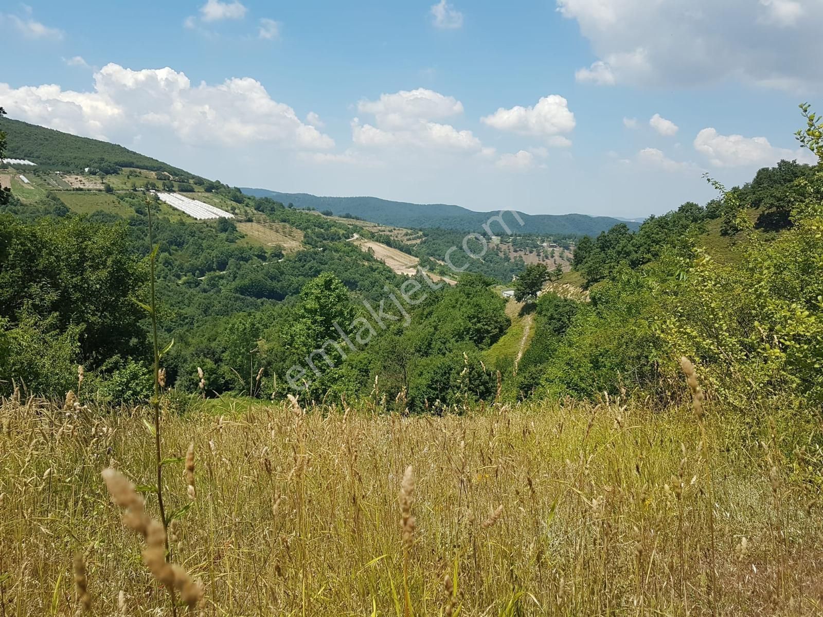 Bursa Orhangazi Mahmudiyede Kaçırılmayacak 2.287,53 M² Arsa - Görsel 10
