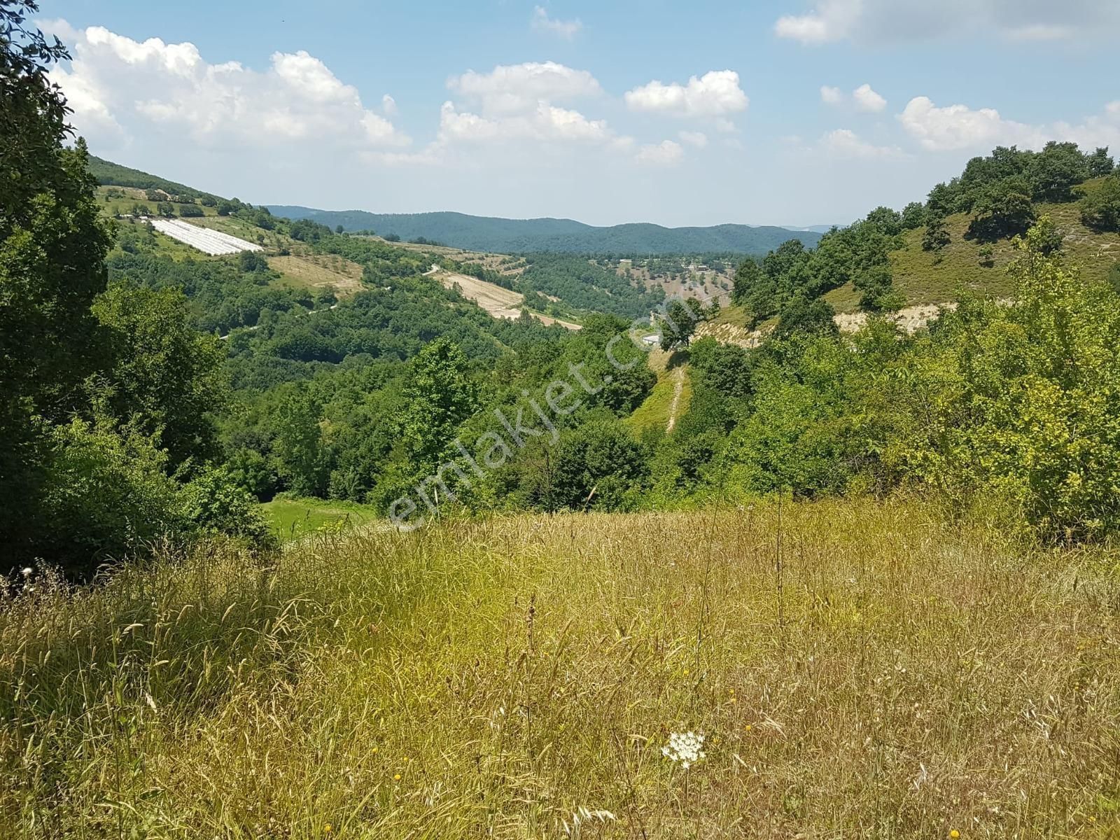 Bursa Orhangazi Mahmudiyede Kaçırılmayacak 2.287,53 M² Arsa