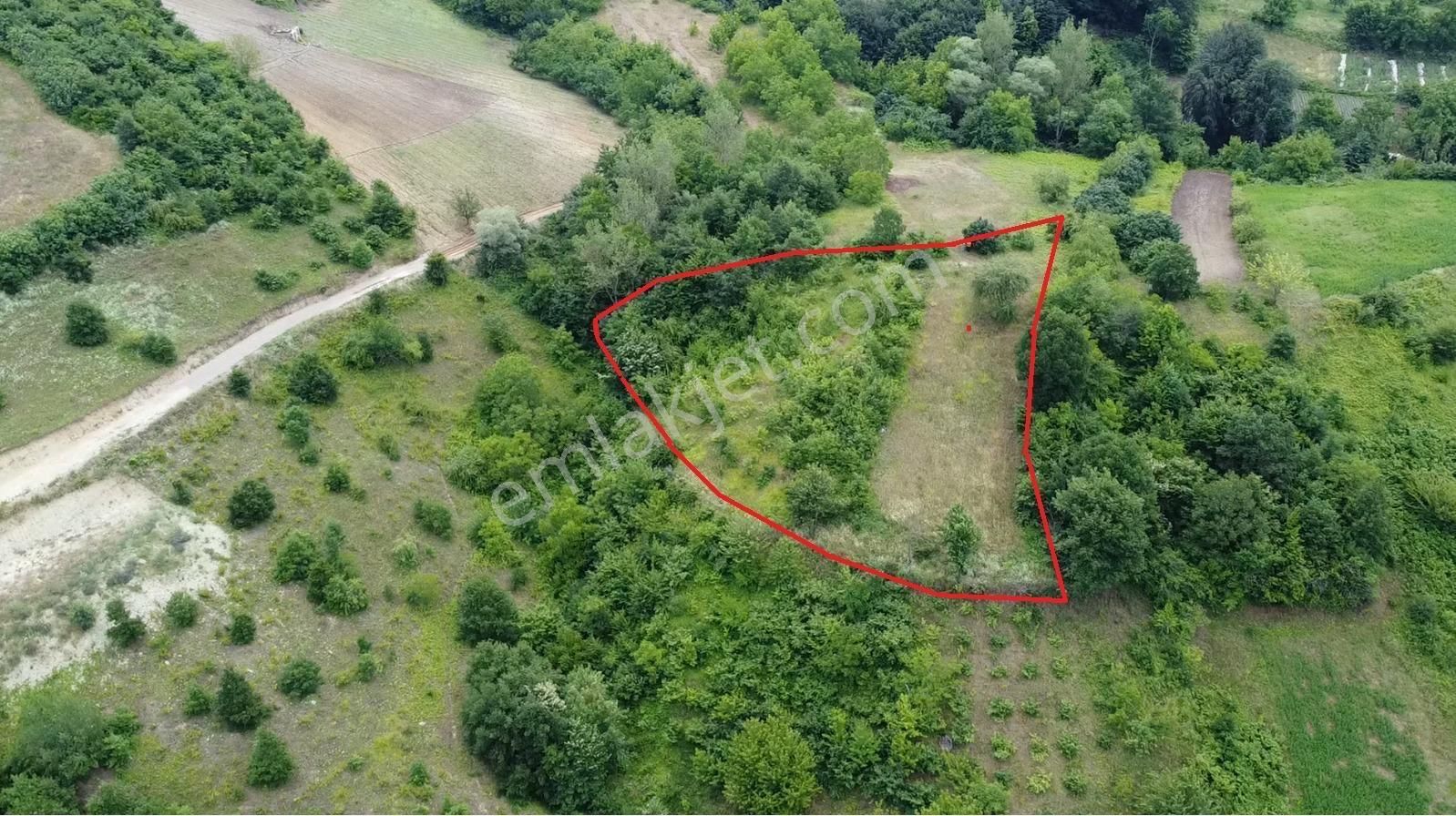 Bursa Orhangazi Mahmudiyede Kaçırılmayacak 2.287,53 M² Arsa - Görsel 3