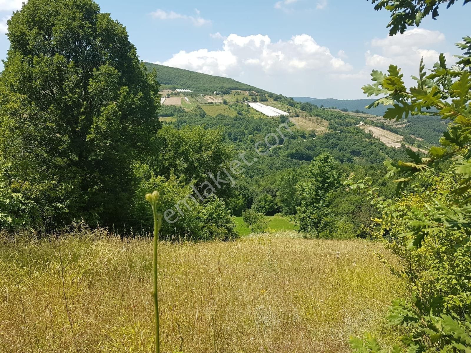 Bursa Orhangazi Mahmudiyede Kaçırılmayacak 2.287,53 M² Arsa - Görsel 4