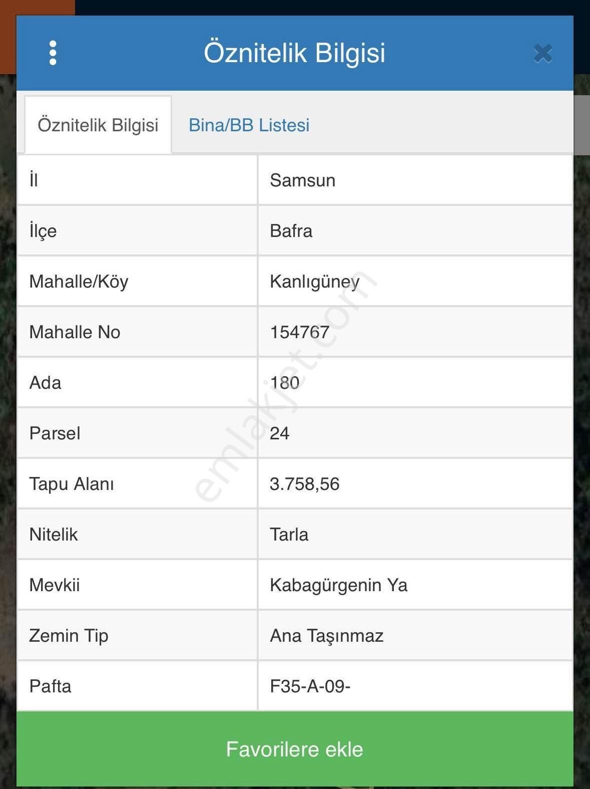 Bafra Kanlıgüney Köyünde Satılık Tarla - Görsel 2