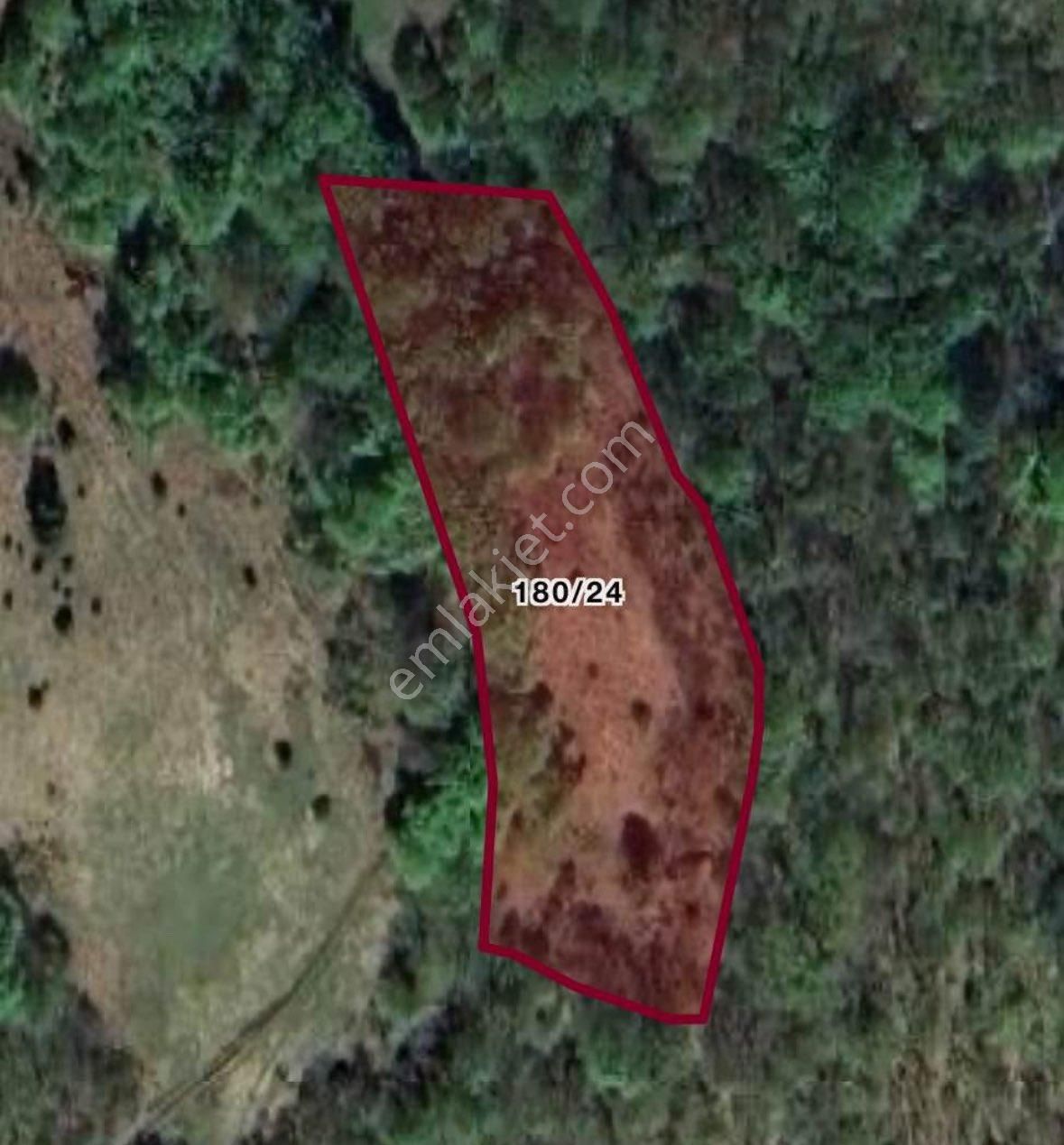 Bafra Kanlıgüney Köyünde Satılık Tarla