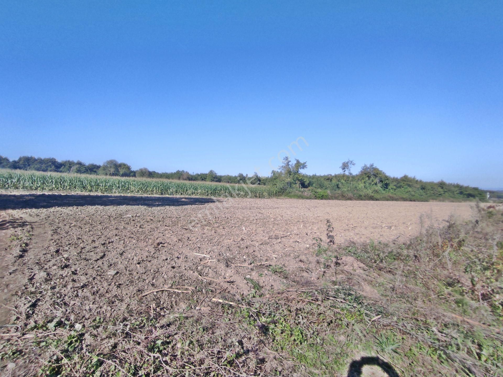 Kartepe Balaban Da Villa'lara Yakın 15,428,m2- Tarla - Görsel 14
