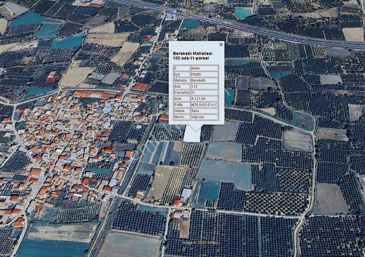Nazilli Bereketlide Yola Cephe, Köy Sınırına Yakın 4123m2 Tarla - Görsel 3