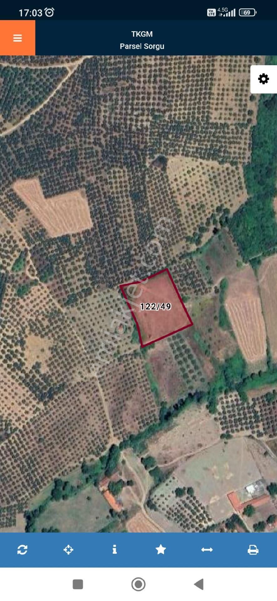 Bursa Mudanya Halilbey'de Satılık Zeytinlik - Görsel 4