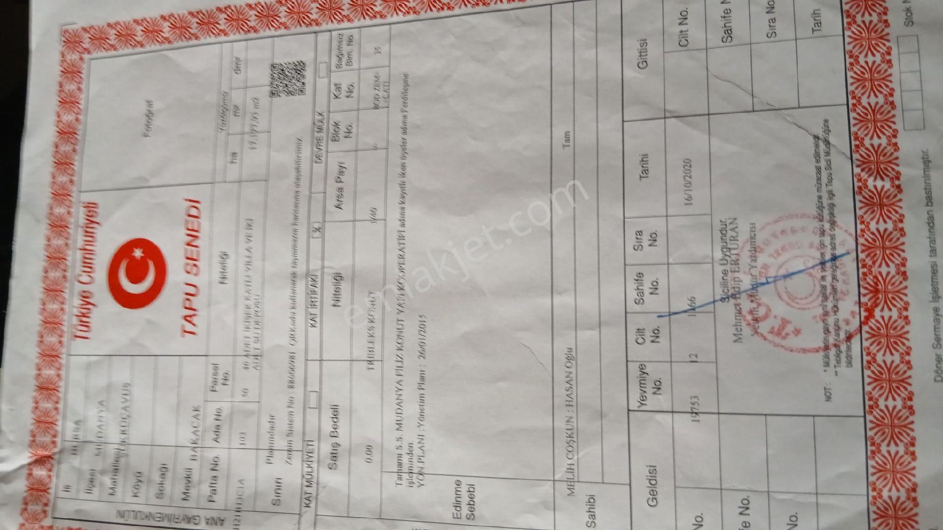 Bursa Mudanya Halilbey'de Satılık Zeytinlik - Görsel 2