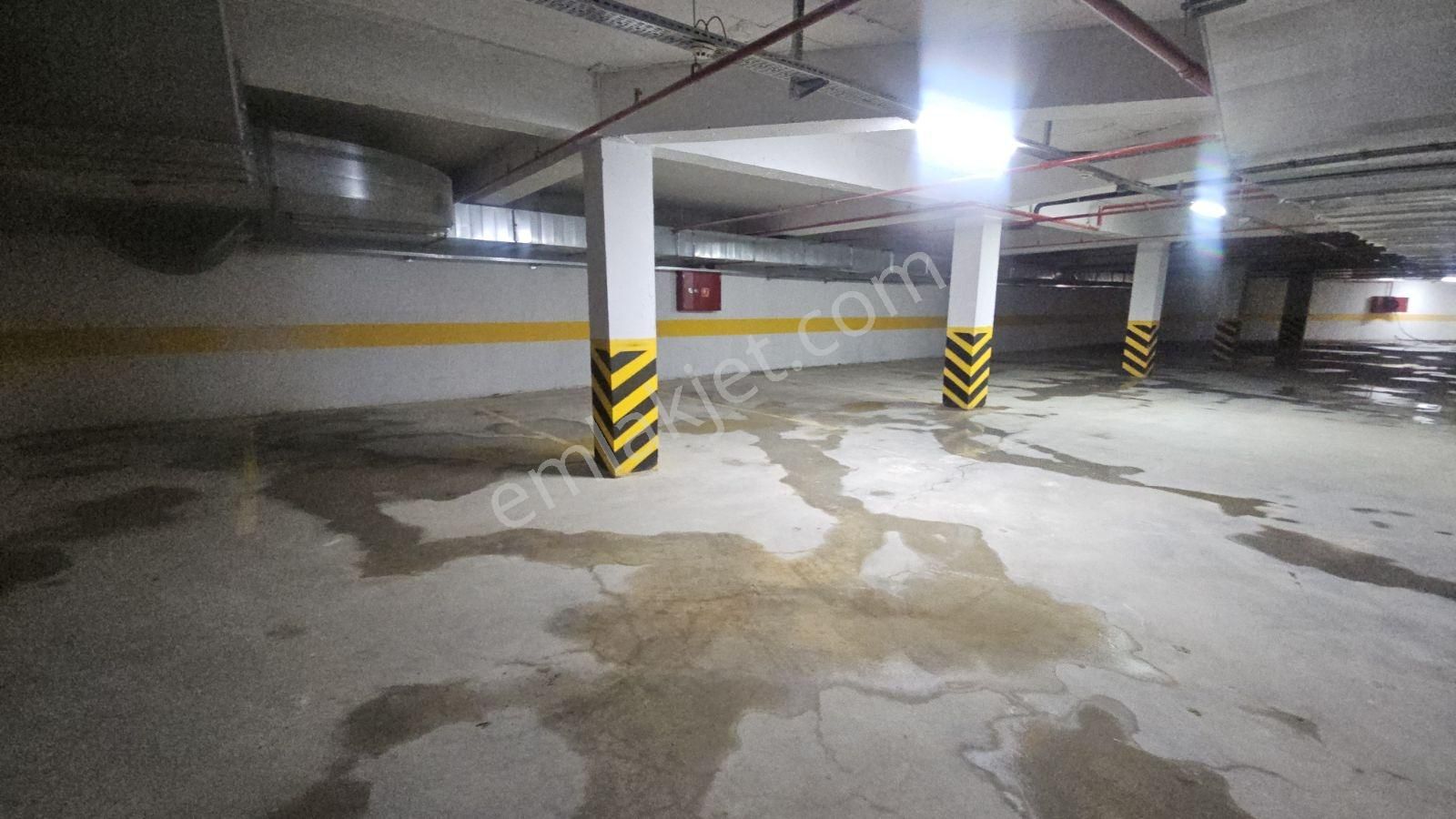 Arso Labella'da Kiralık 1+1 - Görsel 21