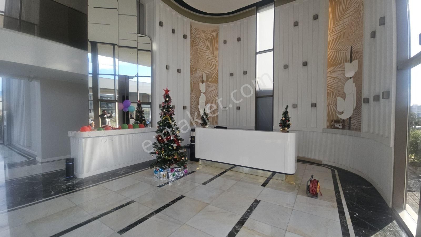 Arso Labella'da Kiralık 1+1 - Görsel 2