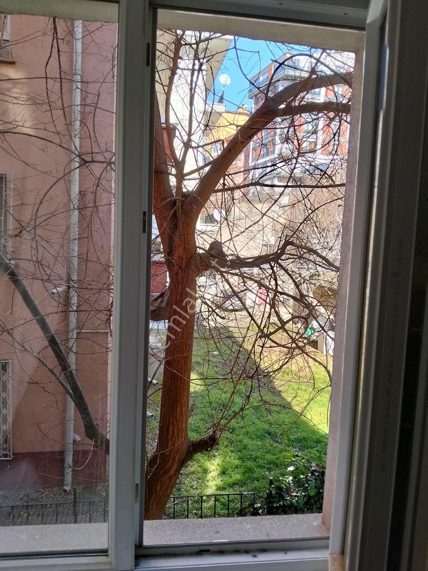 Sahibinden Libya Caddesi Üzerinde Katta Yapılısorunsuzkelepir Daire - Görsel 6