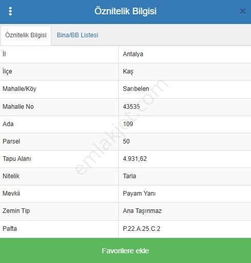Kaş Sarıbelen'de Deniz Manzaralı 25 Dönüm Zeytinlik - Görsel 4