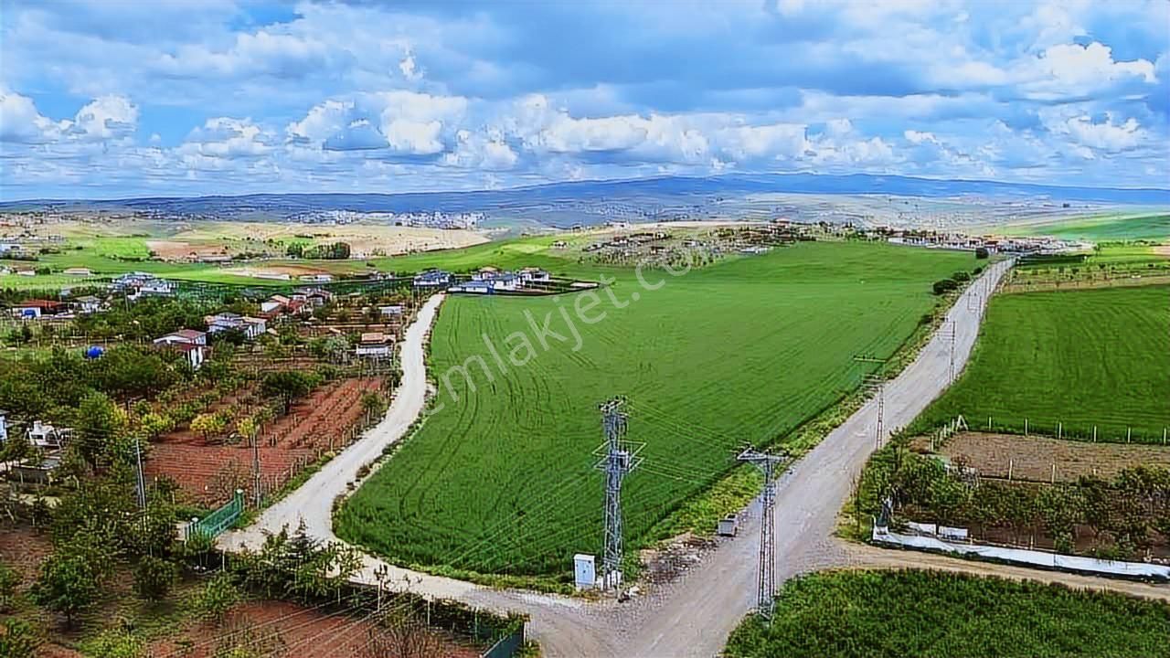 İpek Life Elekt/su 300m Tektip Ev Konsept Çimçit Tel/aydınlatma - Görsel 15