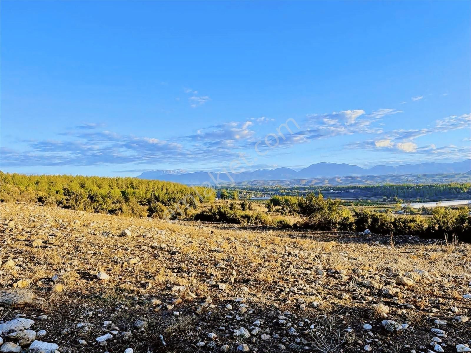 Antalya Tiny House Tatil Köy Projesi 275m Elekt/sulu Yaşam Alanı - Görsel 21